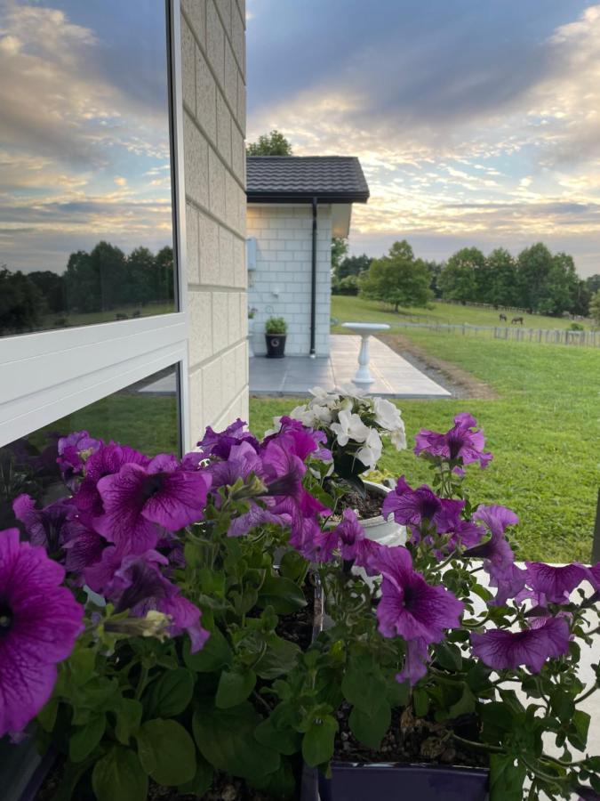 Veld View Bed And Breakfast Tuakau Zewnętrze zdjęcie