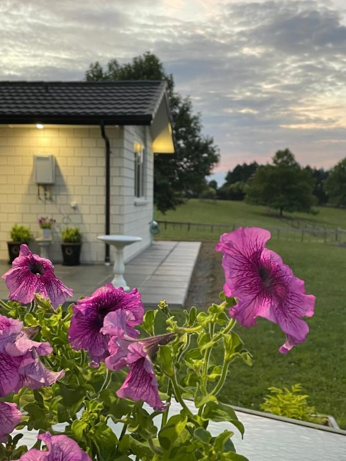Veld View Bed And Breakfast Tuakau Zewnętrze zdjęcie